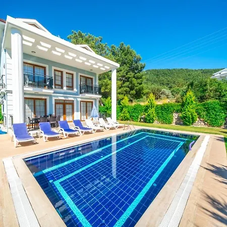 Mavi Villa-1