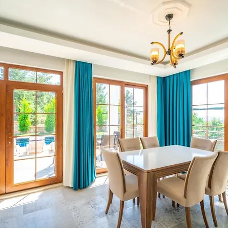 Vilă Mavi Villa-1 *