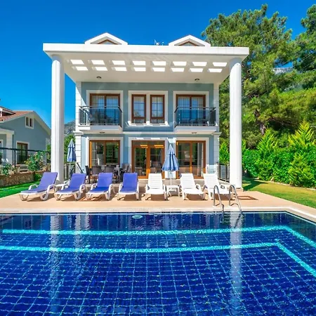 Villa Mavi Villa-1 *